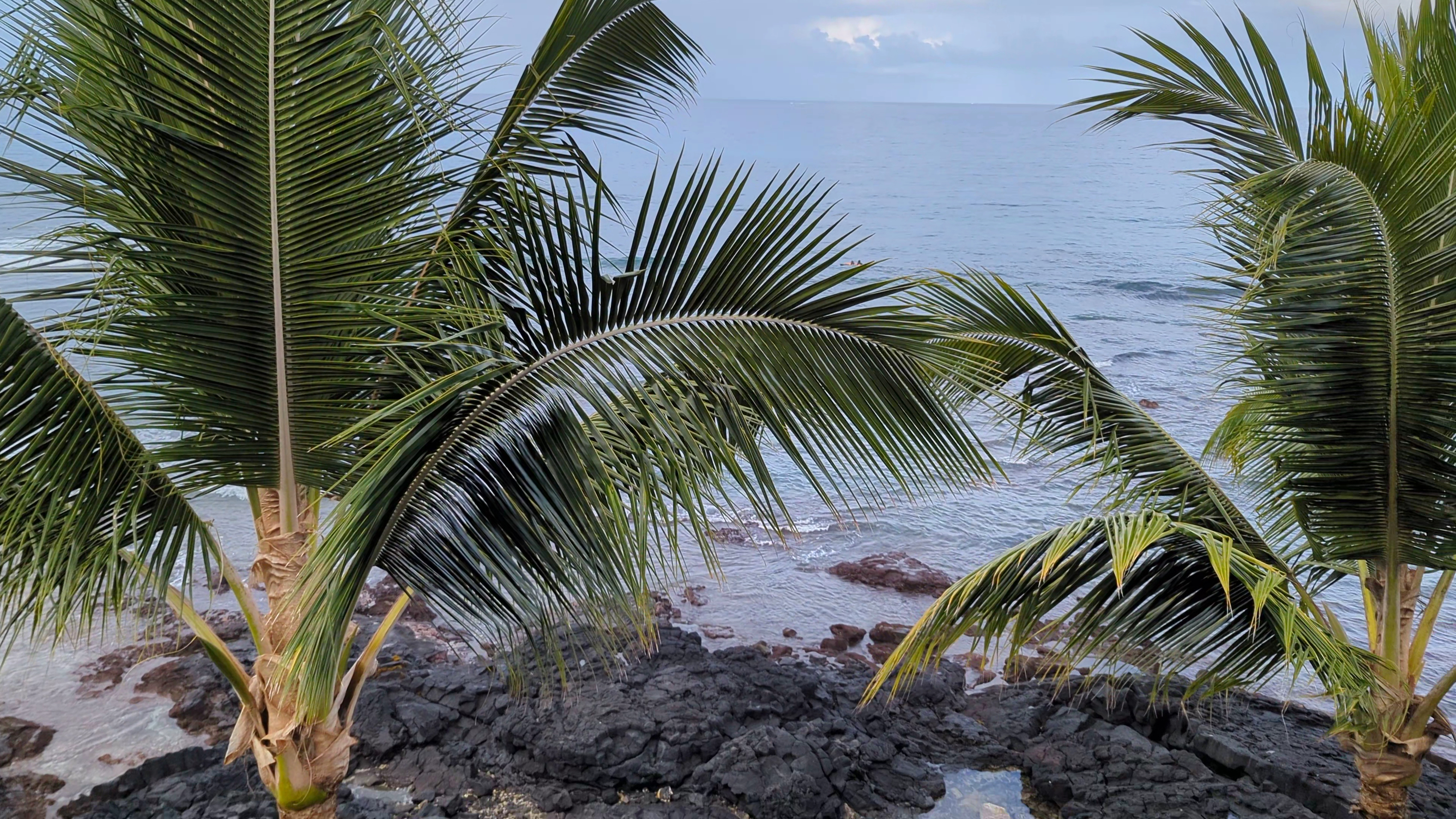 Kona Bali Kai Resort, a family-friendly stay in Big Island